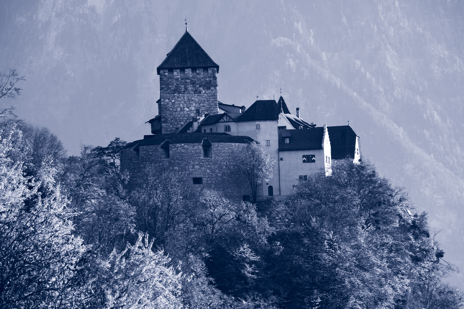 Folgebild_6.jpg